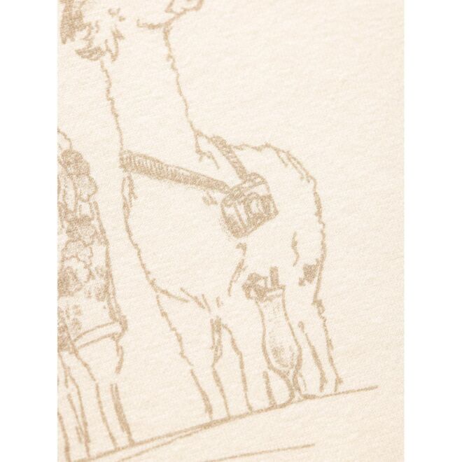 Chillaz Iseo Alpaca Gang damt-shirt