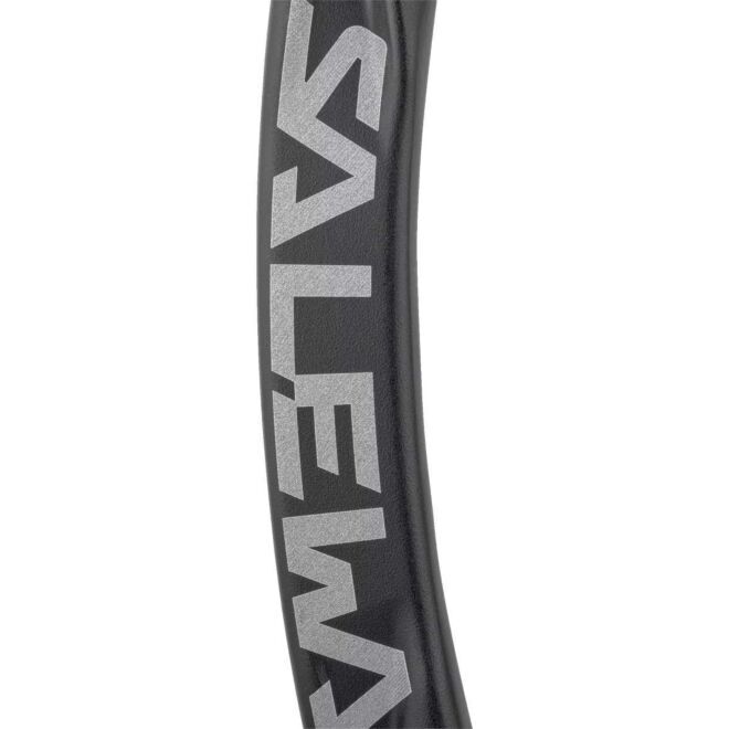 SALEWA Ortles Straight Carabiner klätterkarbin