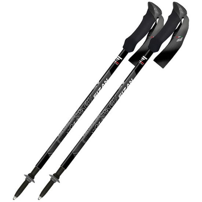 Fizan Compact MS trekkingstavar