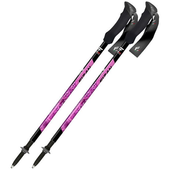 Fizan Compact MS trekkingstavar