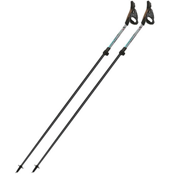 Fizan Tekno Impulse nordiska gåstavar