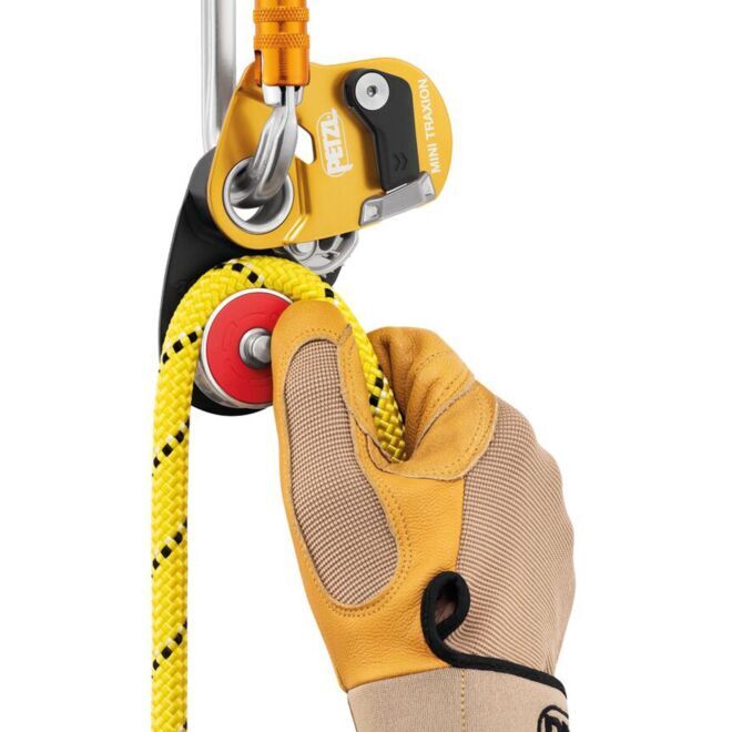 Petzl Mini Traxion blockpulley