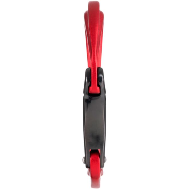 Fixe Picot Curve karabiner