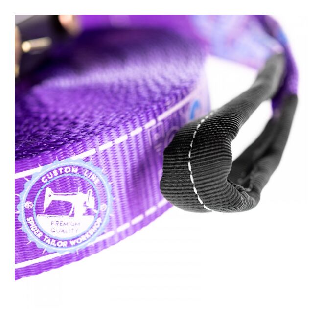 Spider Slacklines Slackline Kit Custom Line 15 slackline