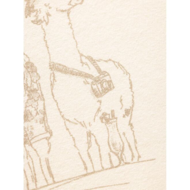 Chillaz Iseo Alpaca Gang damt-shirt