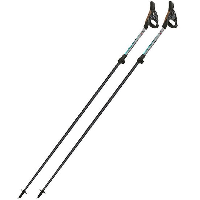 Fizan Tekno Impulse nordiska gåstavar