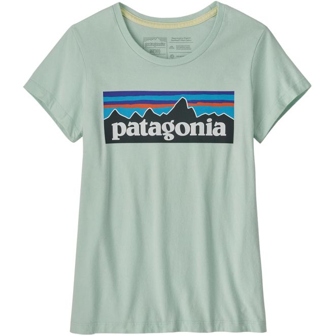 Patagonia Girls' Regularenerative Organic Certified Cotton P-6 Logo t-shirt barn