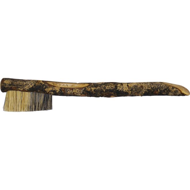 Faza Brushes Dreamtime boulderingborste