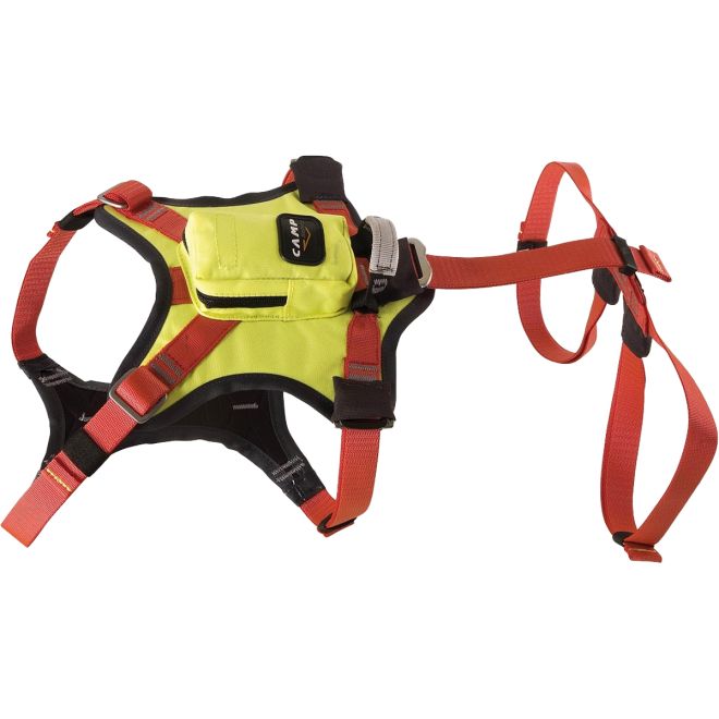CAMP Safety Kronos sele för räddningshundar