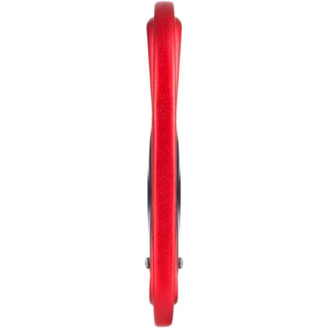 Fixe Picot Curve karabiner